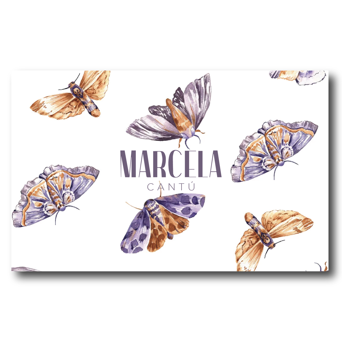 Sobres Mariposas