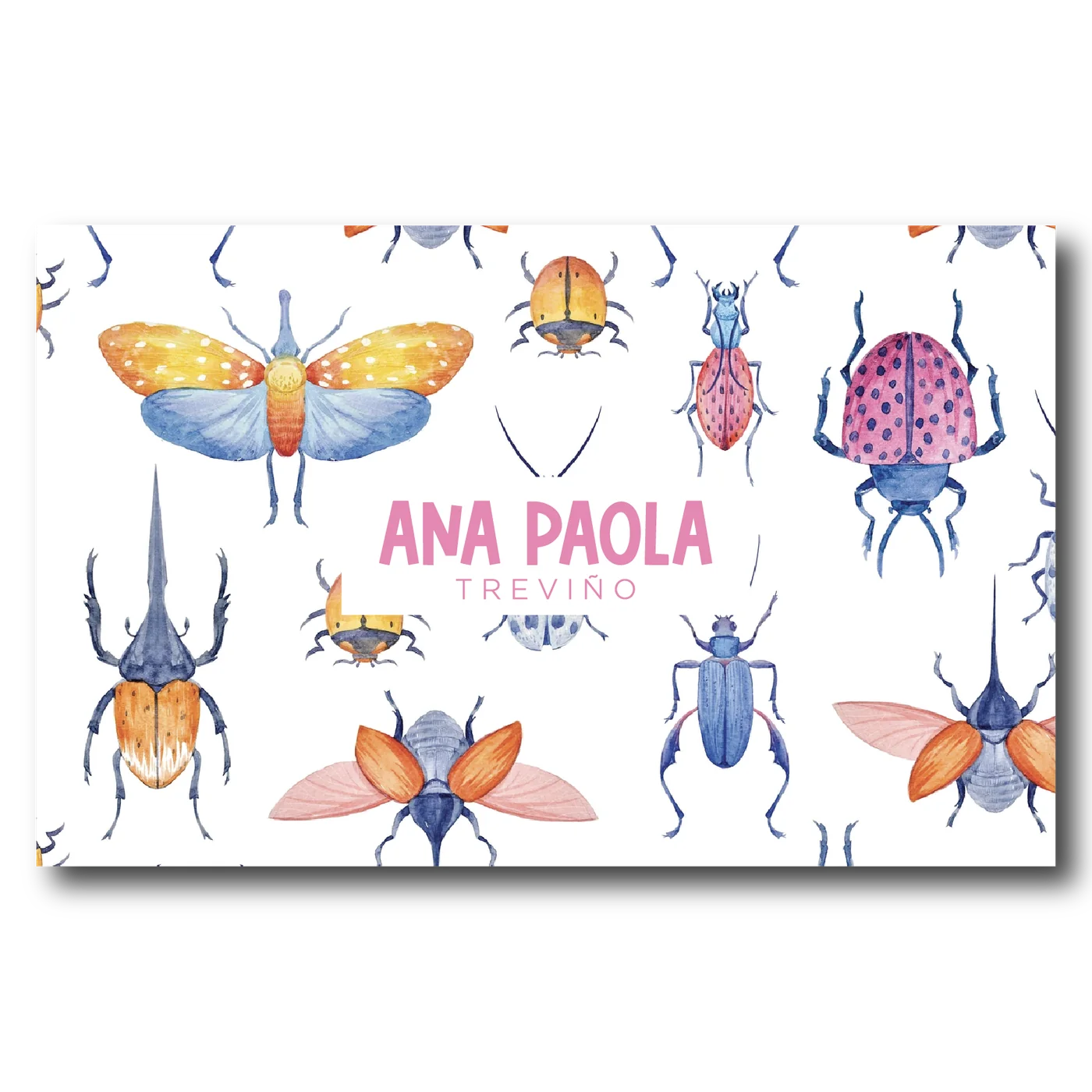 Sobres Insectos